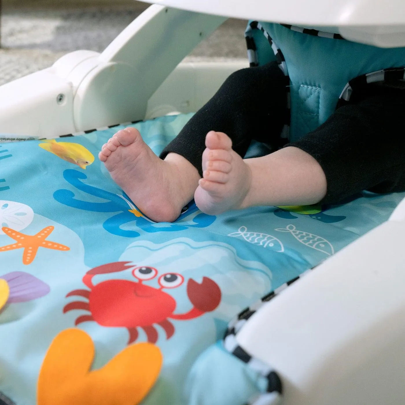 Baby Einstein Sea of Support™ 2-in-1 Sit-Up Floor Seat