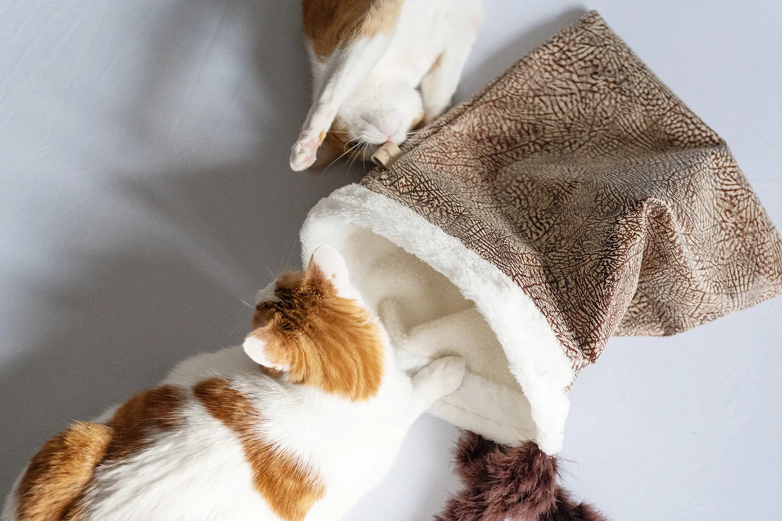 Cat Crinkle Sack