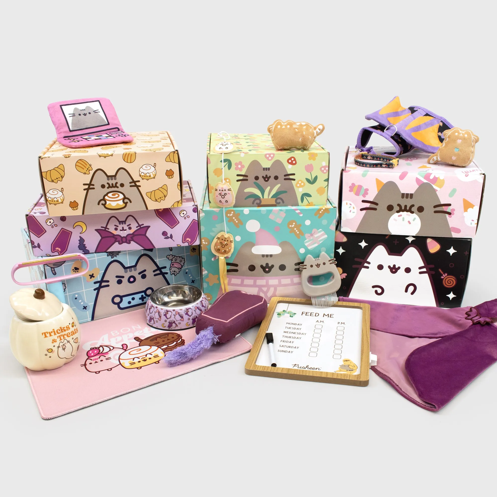 Cat Kit by Pusheen Box