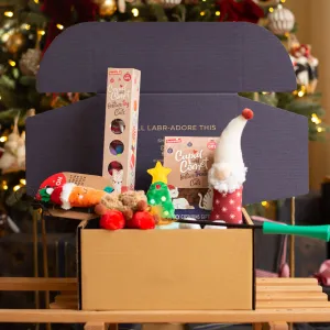 Christmas Deluxe Toy & Treat Box For Cats by Lords & Labradors