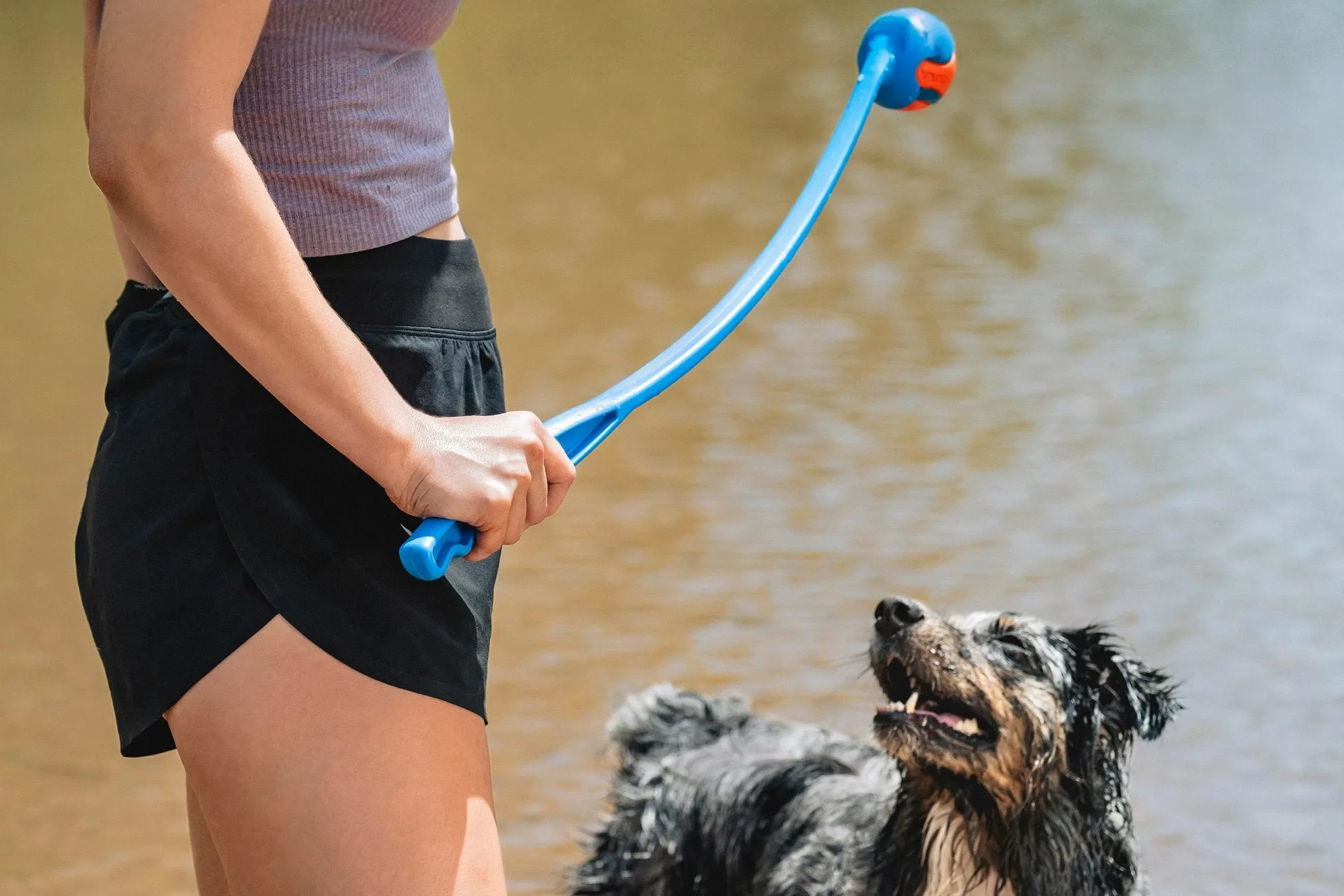 Chuckit! Classic Dog Ball Launcher