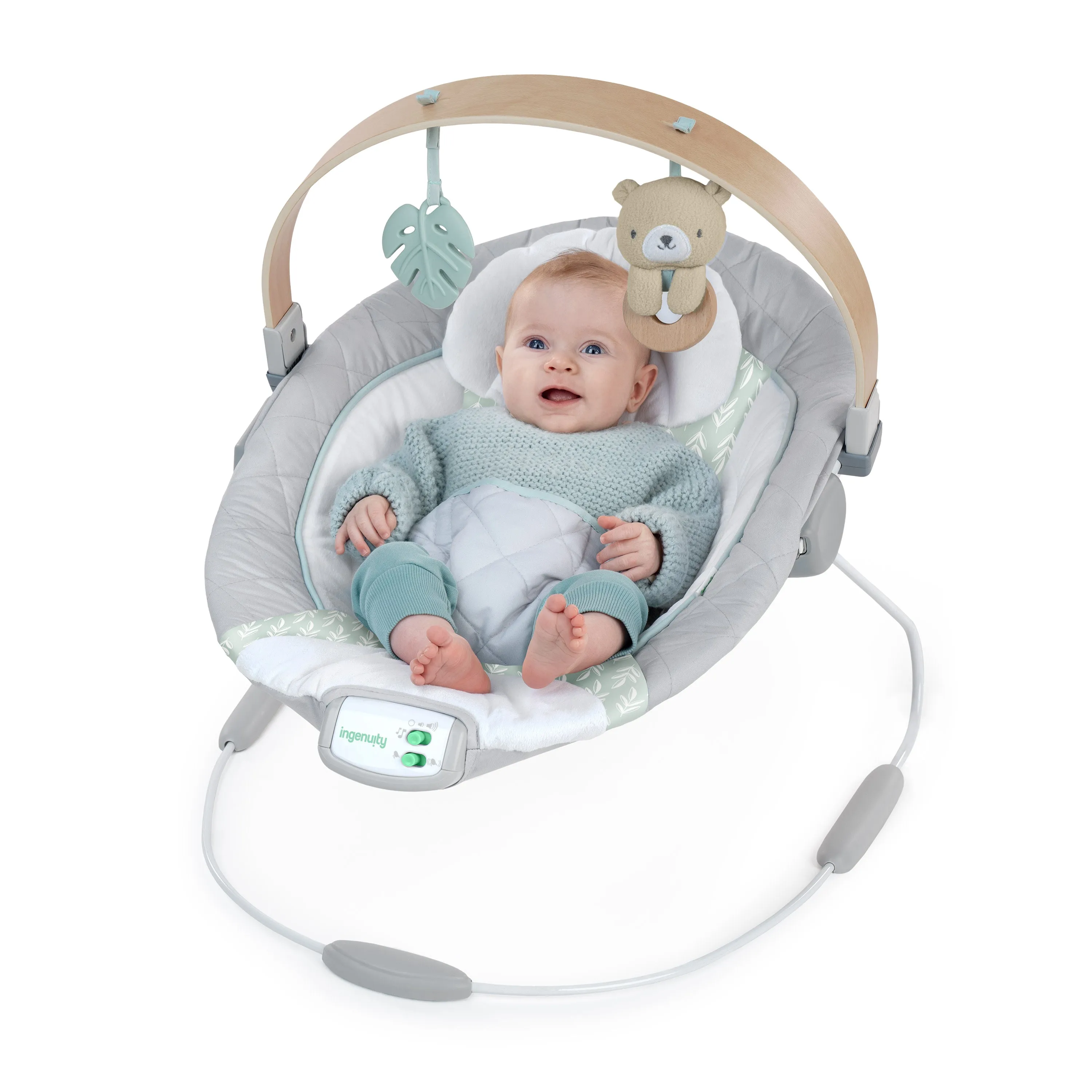 Cozy Spot Soothing Bouncer