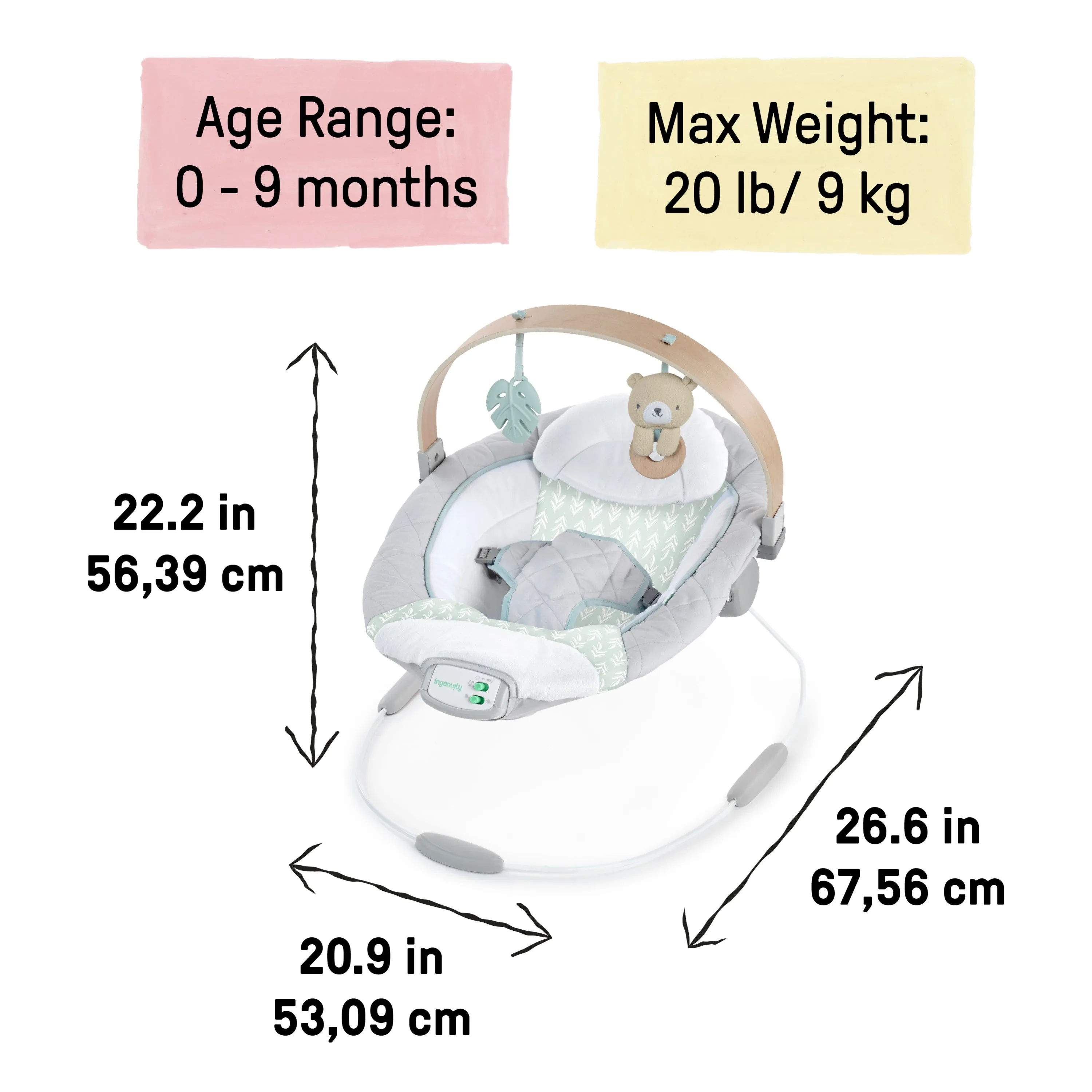 Cozy Spot Soothing Bouncer