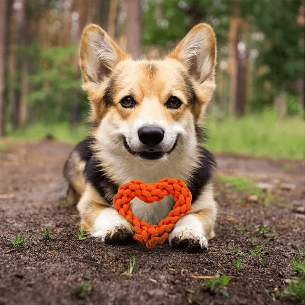 Dogitos Knotted Cotton Heart Shaped Rope Toy for Dogs