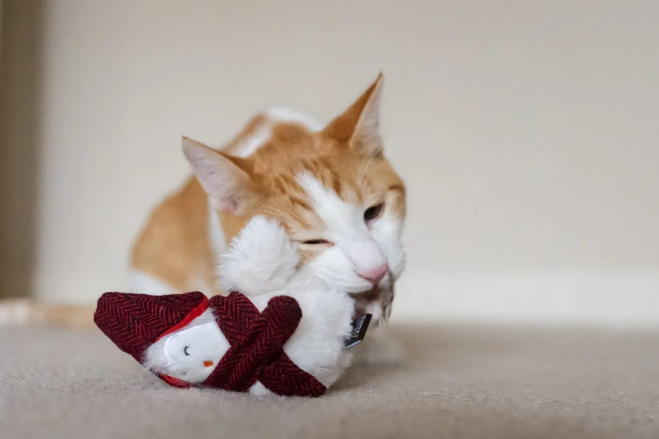 Feline Frenzy - Cat Toy Holiday Collection