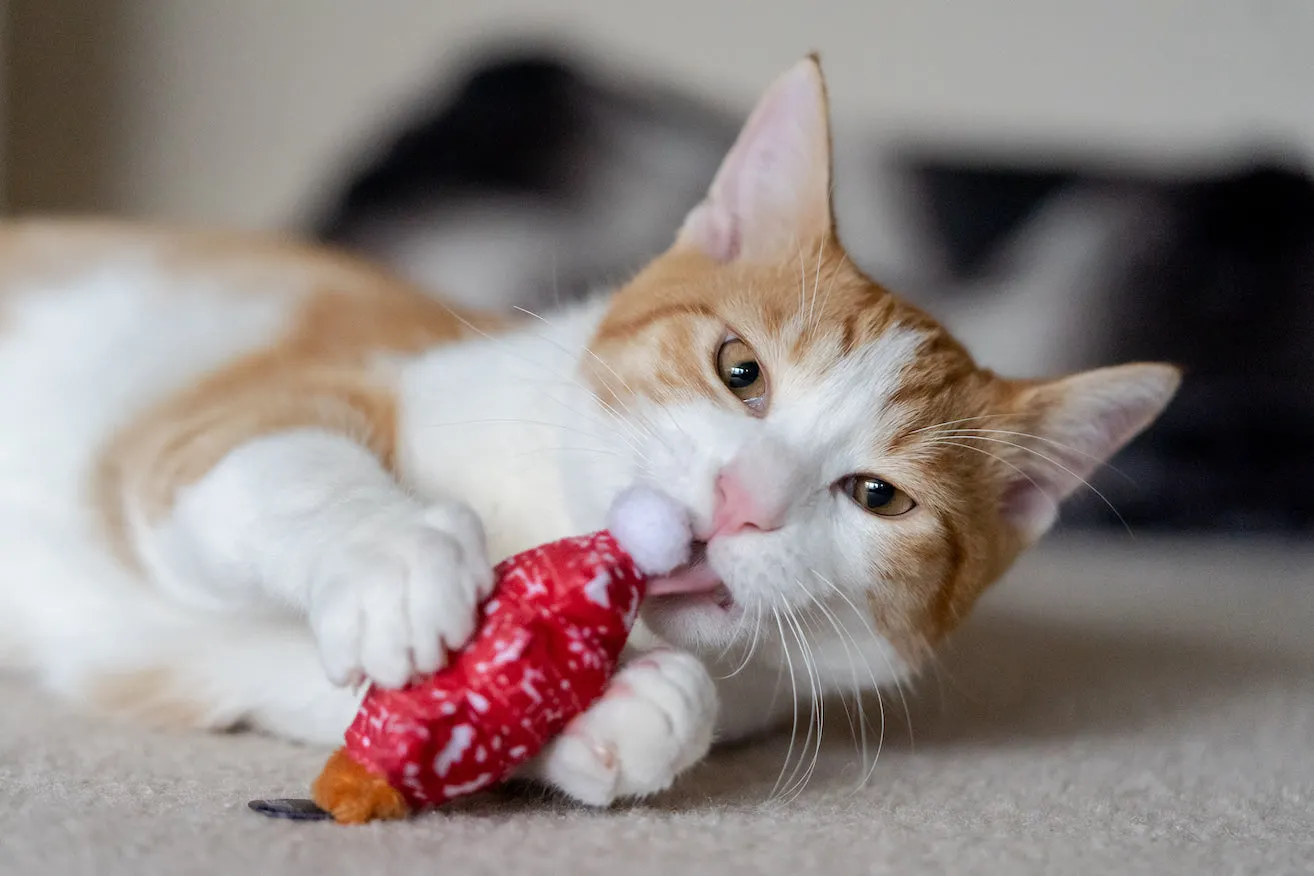 Feline Frenzy - Cat Toy Holiday Collection