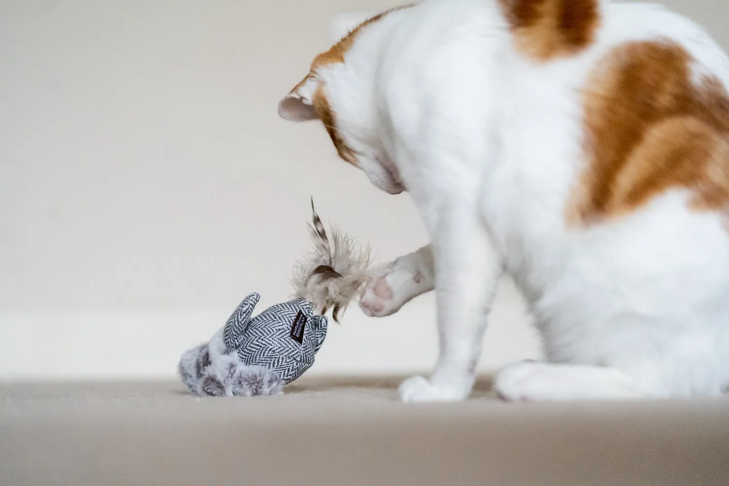 Feline Frenzy - Cat Toy Holiday Collection