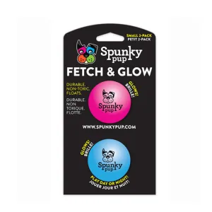 Fetch & Glow Ball 2 pk