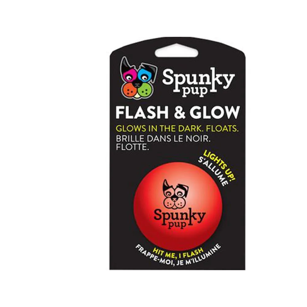 Fetch & Glow Balls Dog Toys