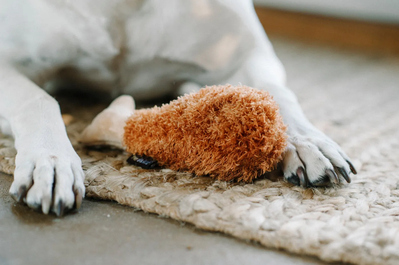 Fried Chicken Dog Plush Toy