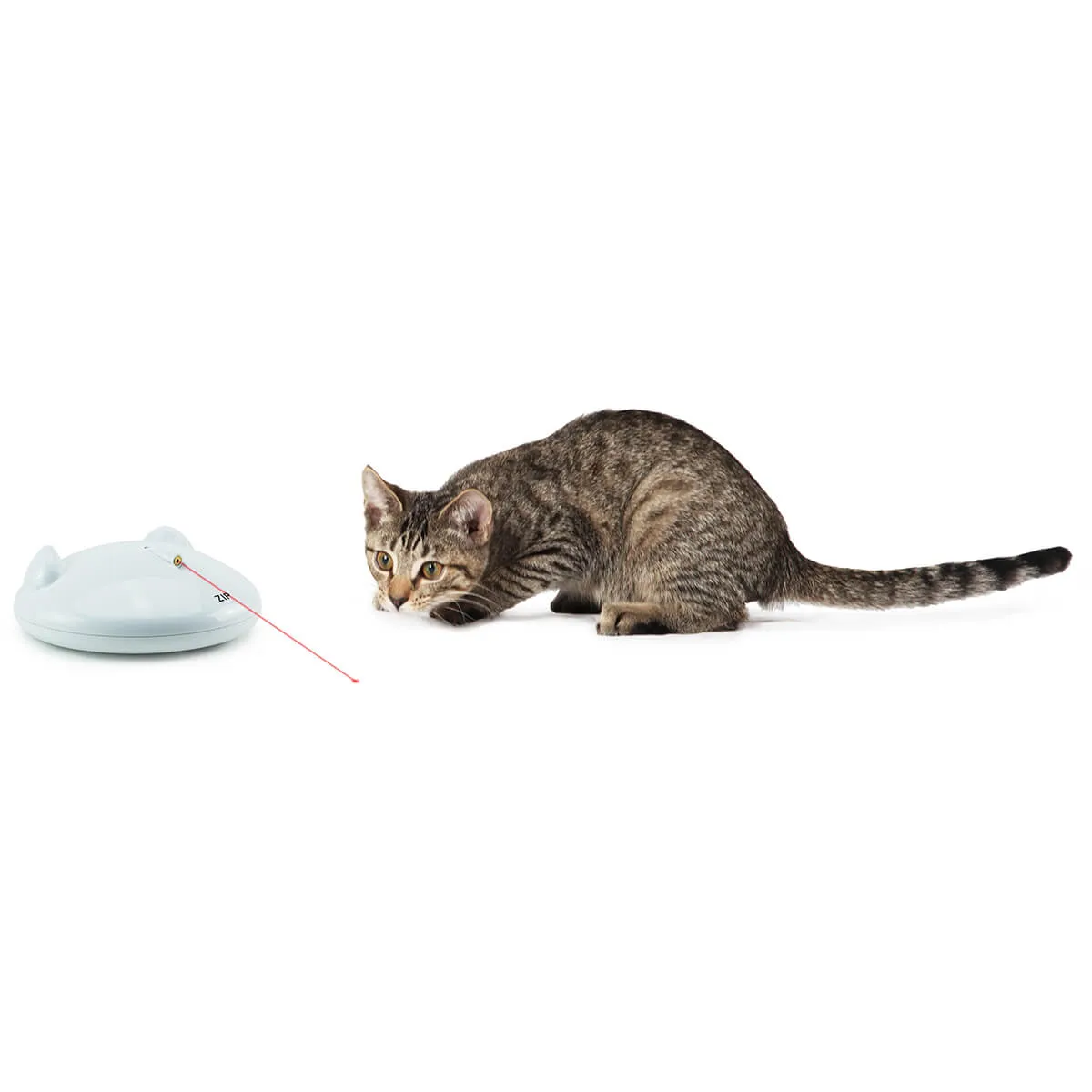 FroliCat Zip Automatic Laser Light Cat Toy