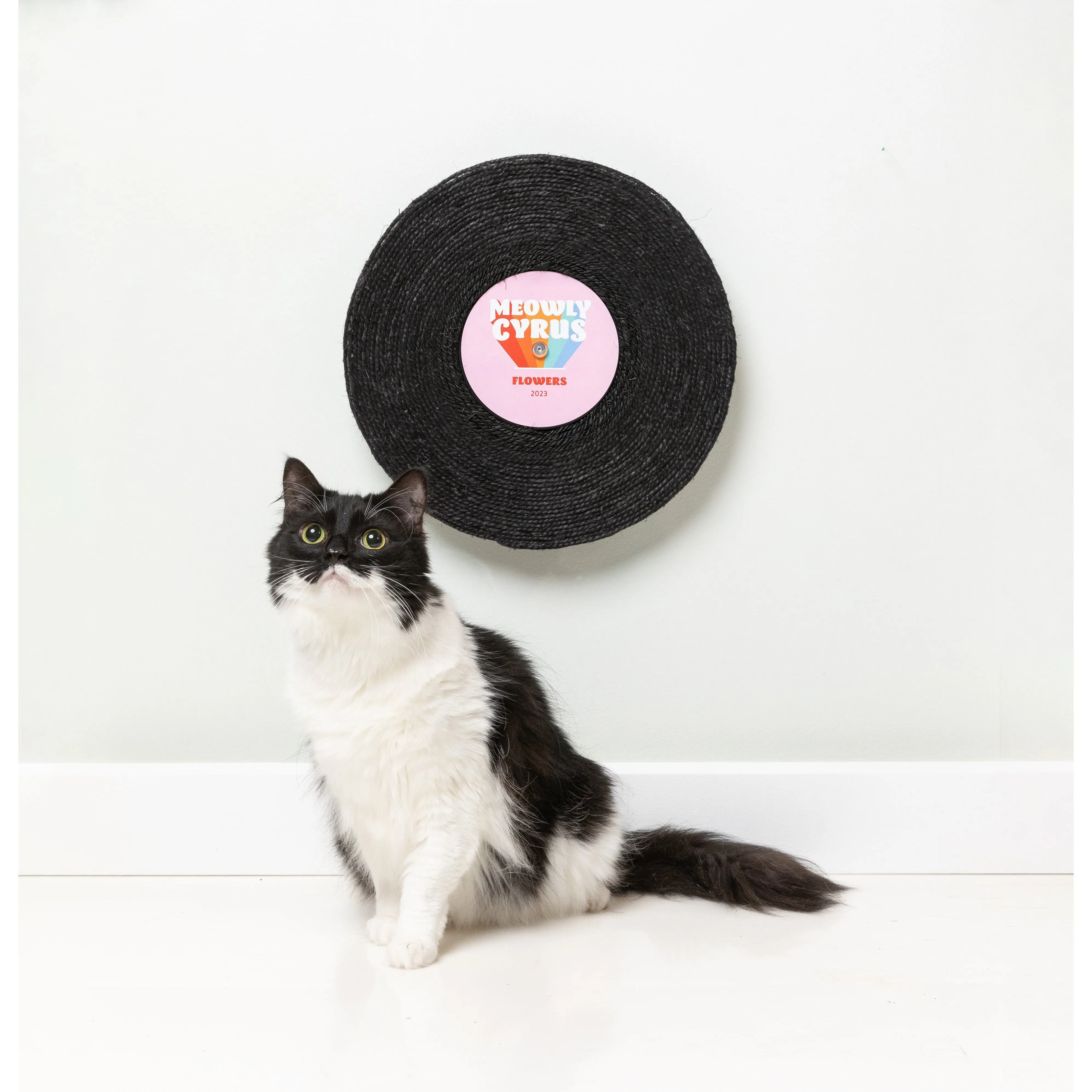 FuzzYard Cat Record Scratcher Meowly Cyrus