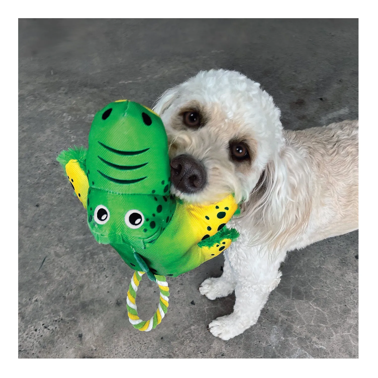 KONG Cozie Tuggz Alligator Dog Toy