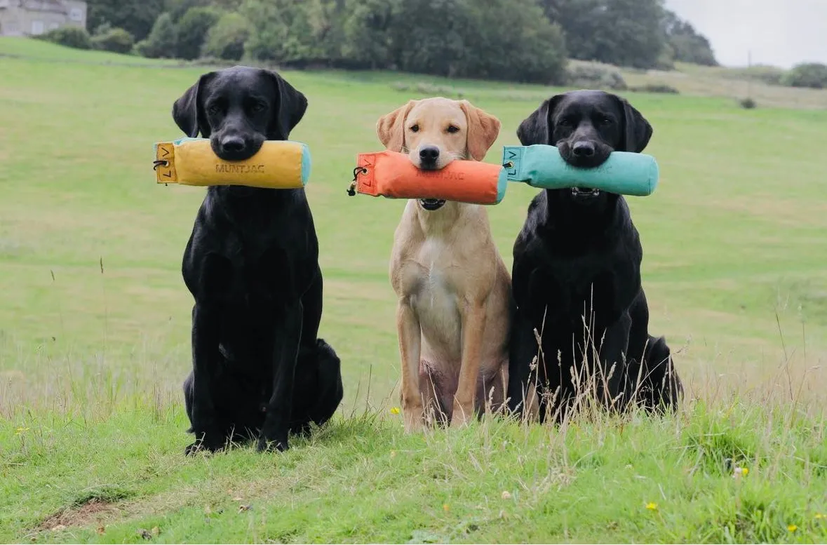 Muntjac® Gundog Traditional Dummies, All Sizes