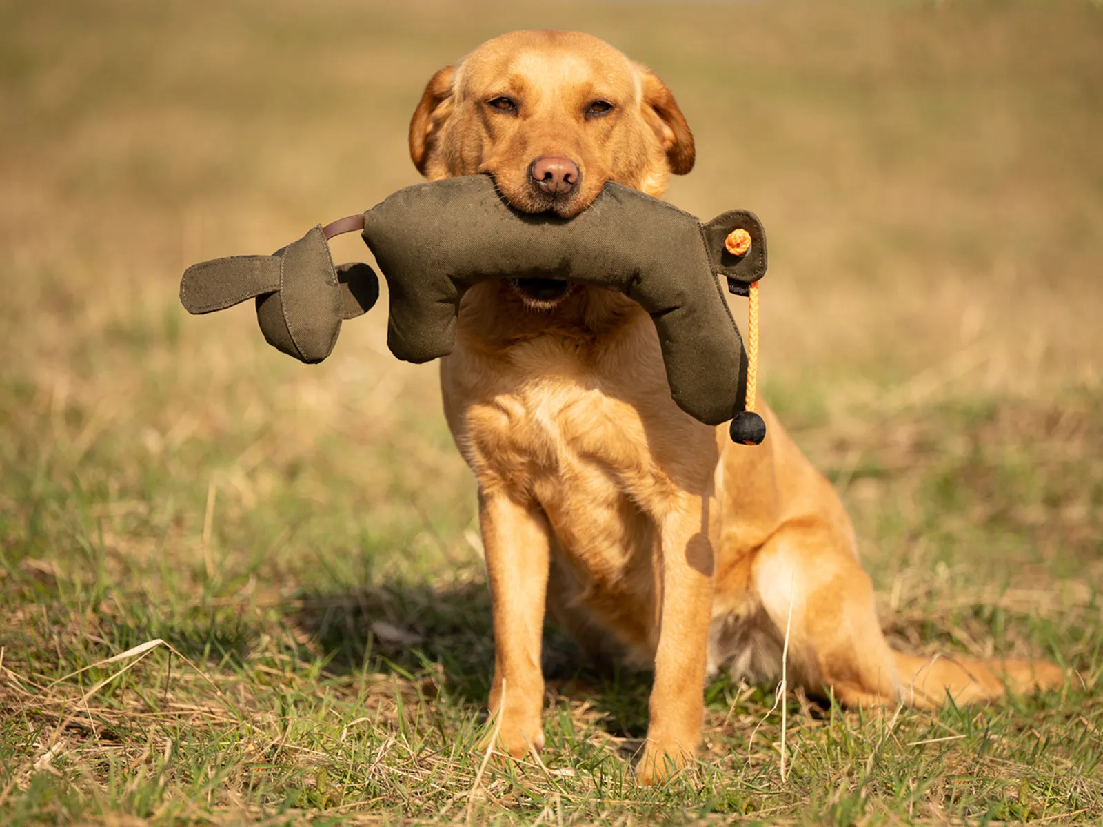 Mystique® Rabbit Dog Dummy