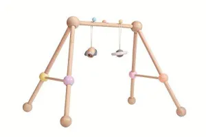 Plan Toys - Play Gym