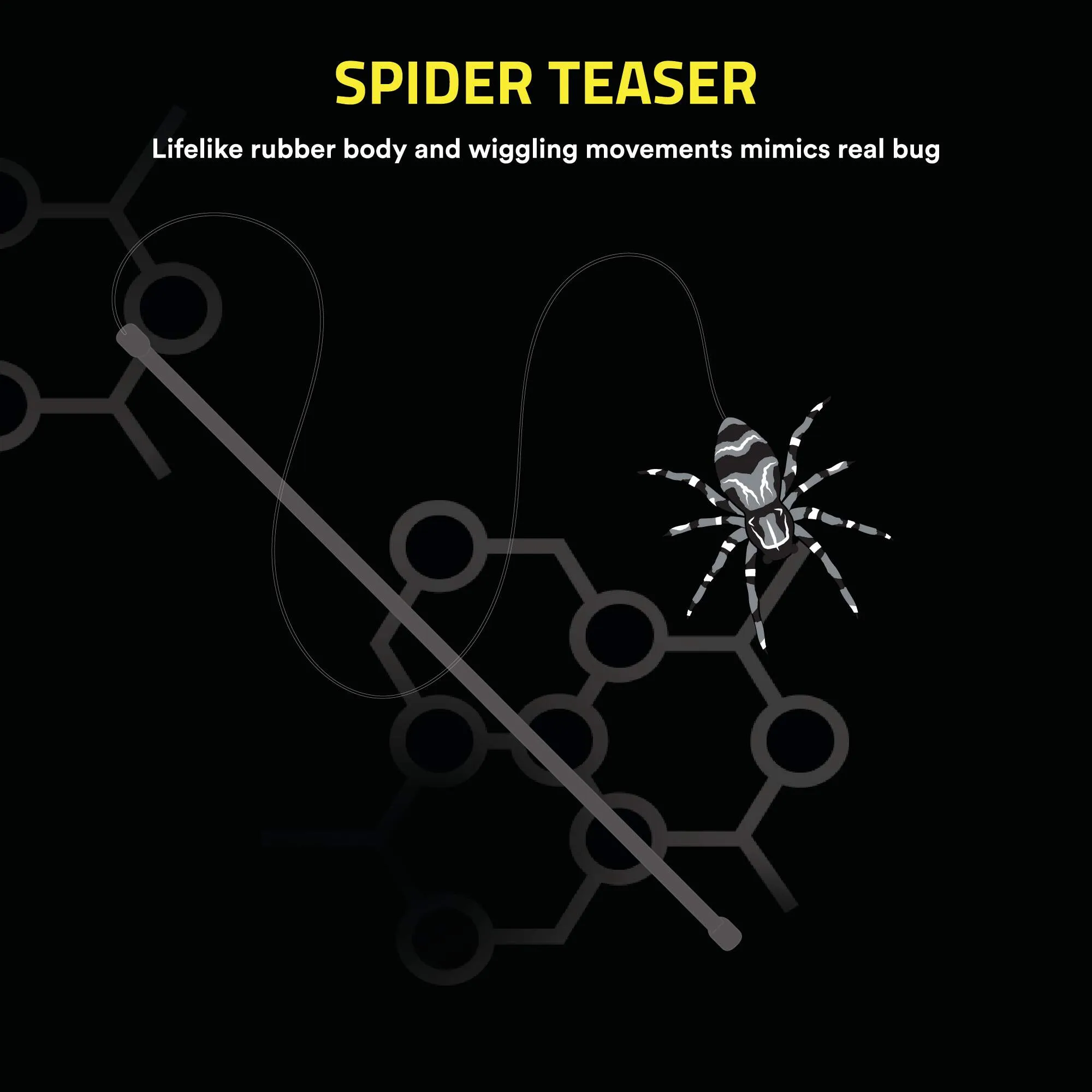 Spider Teaser