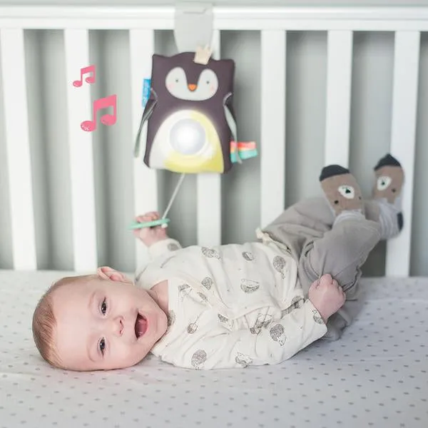 Taf Toys Prince The Penguin Cot Toy and Soother