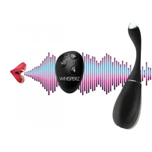 Remote-Controlled Vibrating Anal Egg with 10X Voice Activation