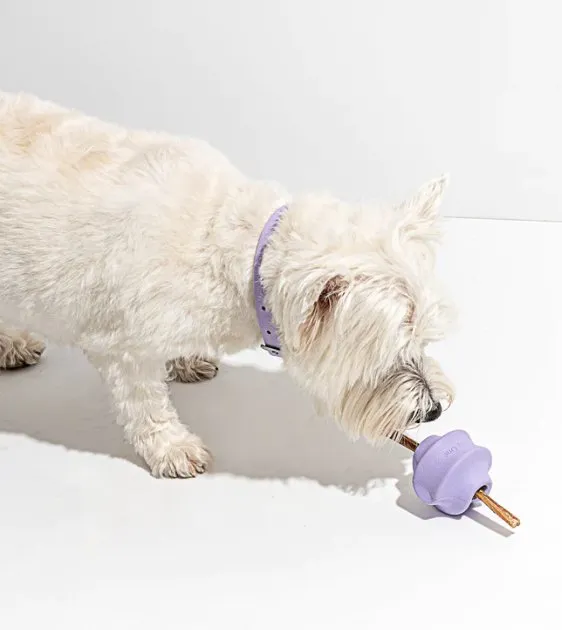 Wild One Twist Toss Dog Chew Toy (Lilac)