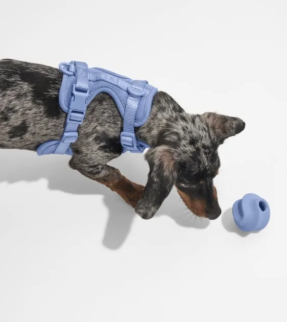 Wild One Twist Toss Dog Chew Toy (Navy)