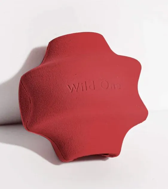 Wild One Twist Toss Dog Chew Toy (Strawberry)