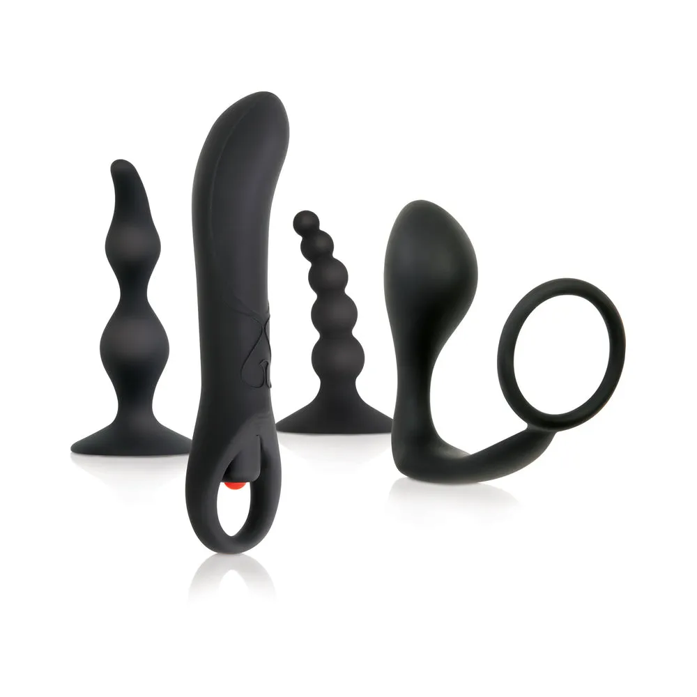 Zero Tolerance Intro To Prostate Kit 4-Piece Anal Play Set With DVD